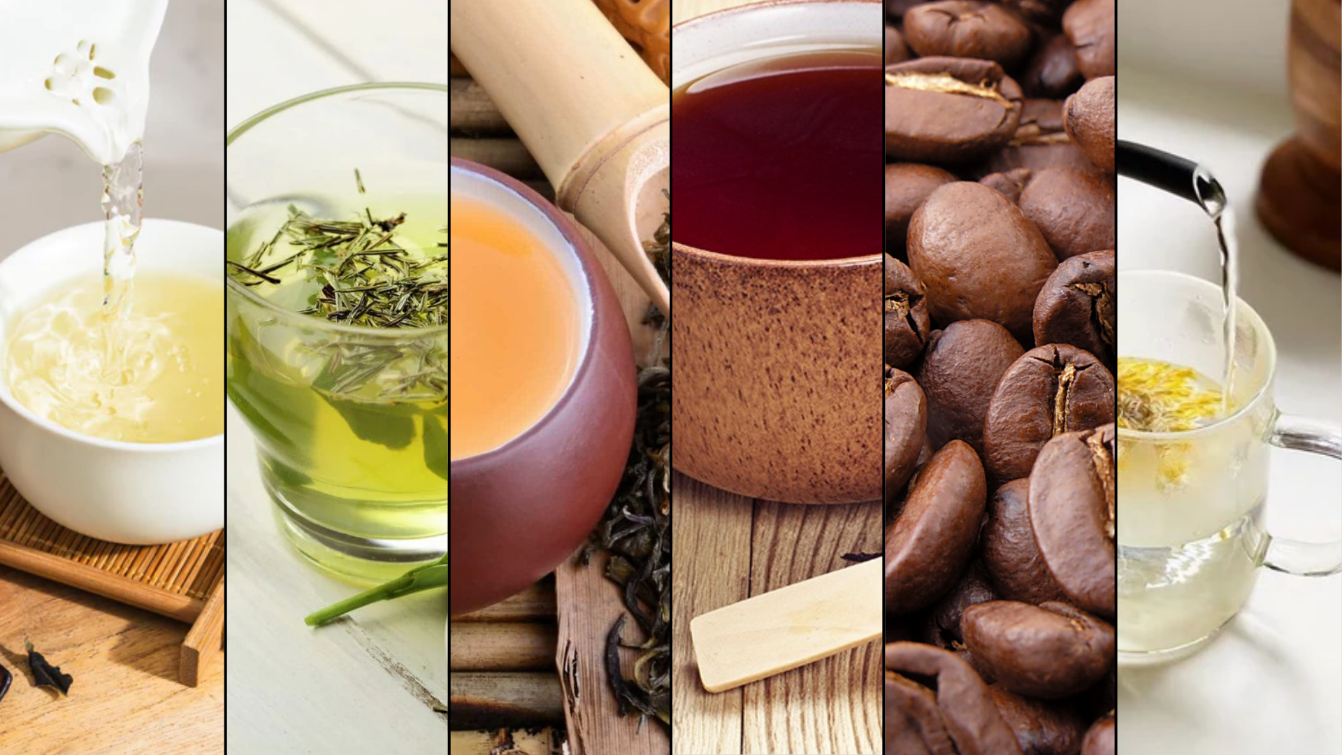 white-tea-vs-other-tea